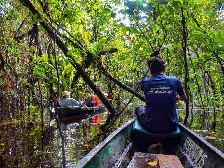Amazonia Expeditions Peru Survival Training Expedition Paddling through jungle shallows Peru Amazonia survival training expedition