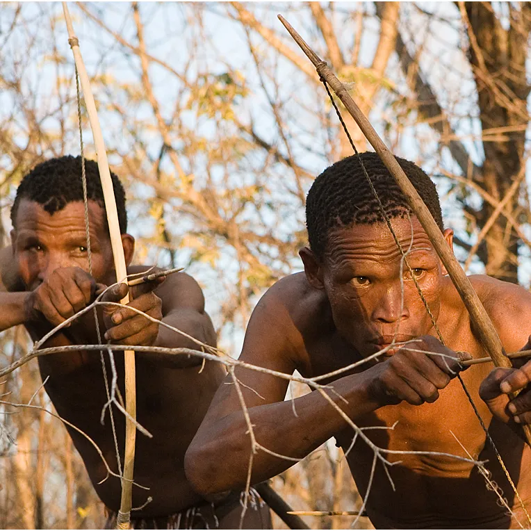 bushman hunters