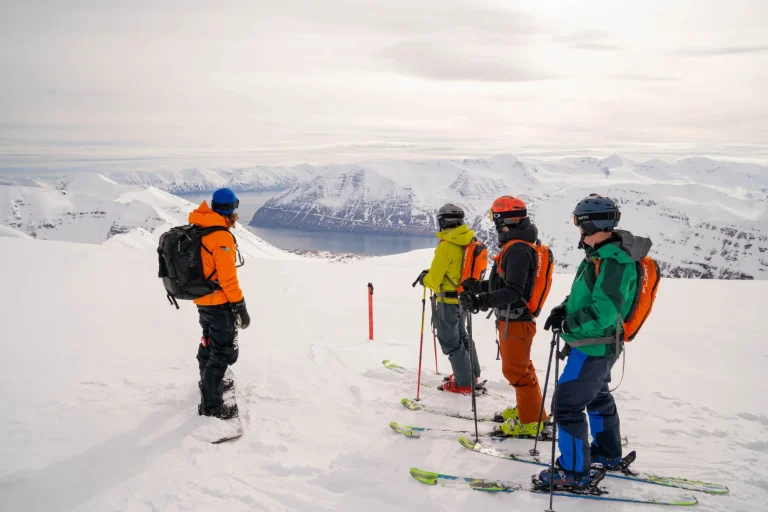 skiers overlooking snowy mountains scaled